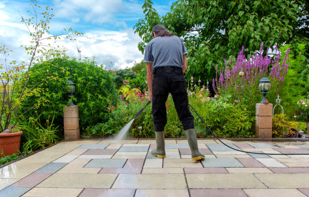 Best Animal Enclosure Cleaning  in Lake Telemark, NJ